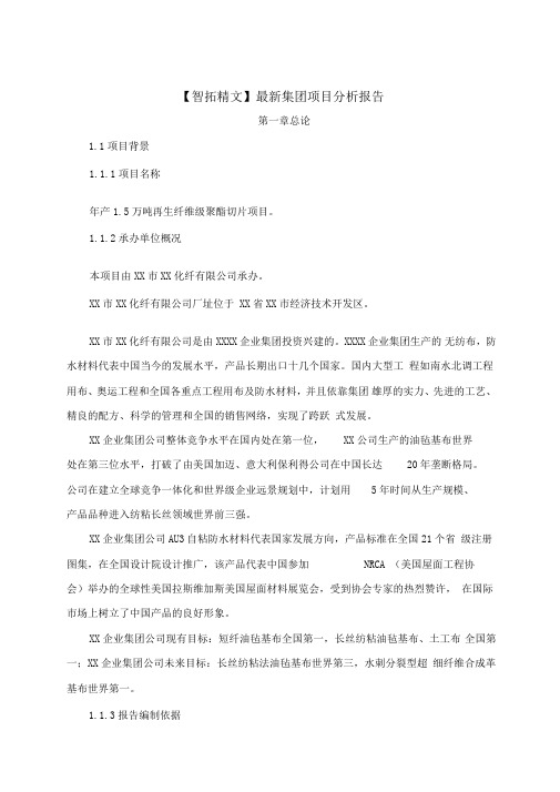 最新集团项目分析报告