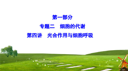 2020新课标高考生物二轮总复习课件：1-2-4 光合作用与细胞呼吸 