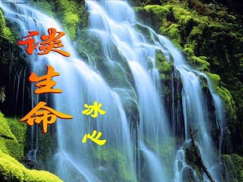 《谈生命》教学课件