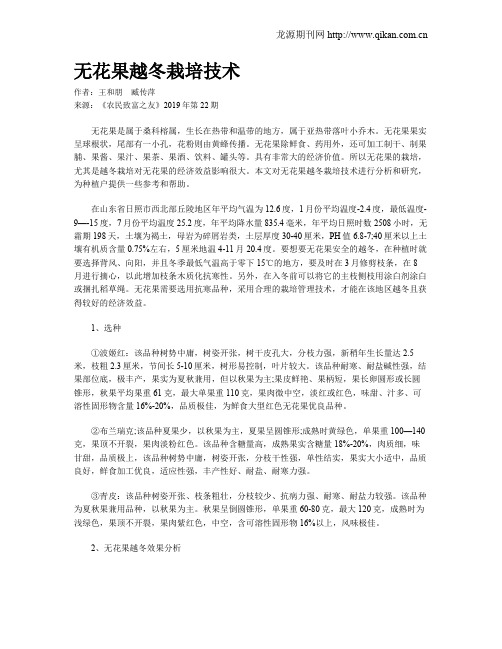 无花果越冬栽培技术