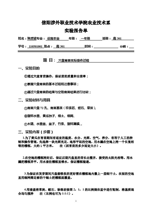 穴盘育苗