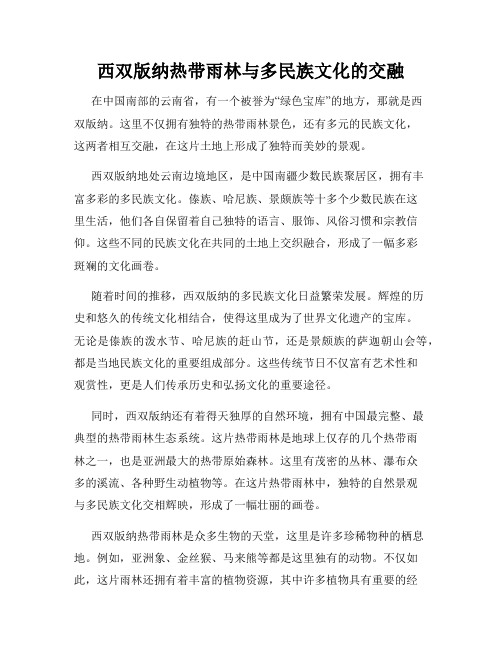 西双版纳热带雨林与多民族文化的交融