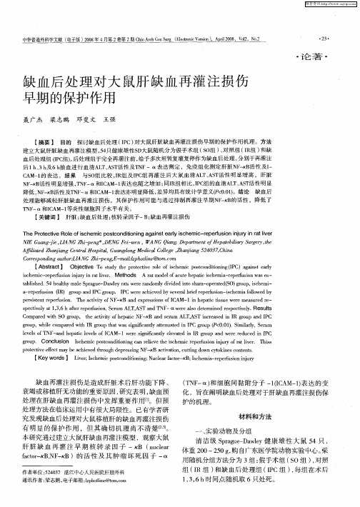 缺血后处理对大鼠肝缺血再灌注损伤早期的保护作用