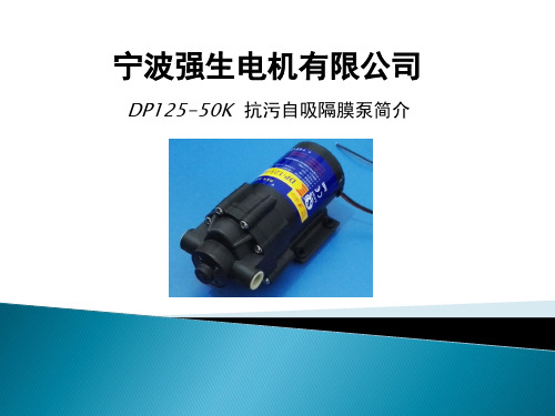 宁波强生电机有限公司DP1250K