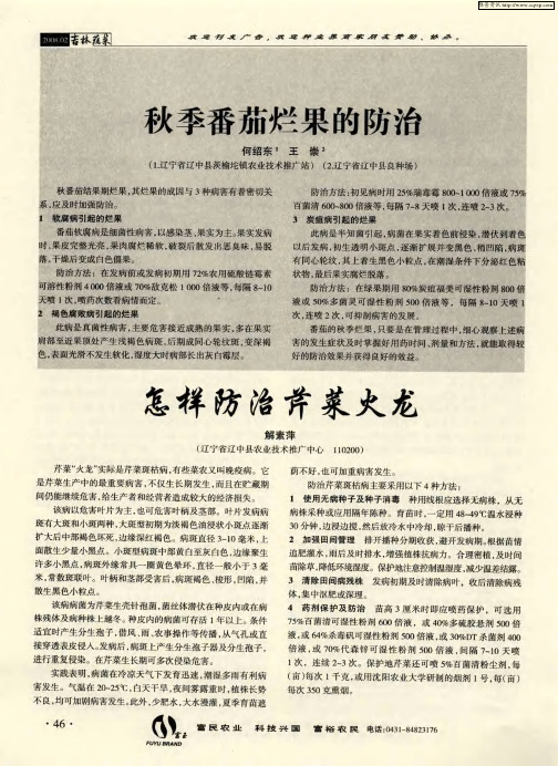 秋季番茄烂果的防治