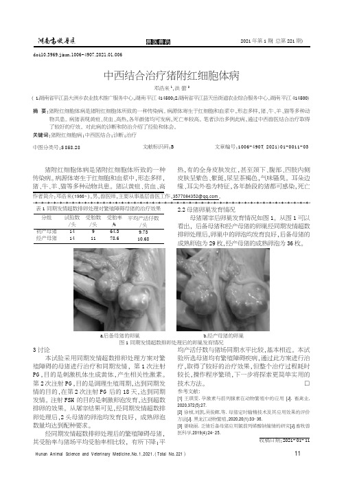 中西结合治疗猪附红细胞体病