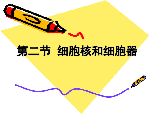 沪科版生物高中第一册3.2《细胞核和细胞器》课件共35张PPT)