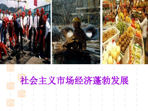 市场配置资源PPT课件