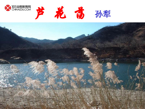 人教新课标版初中八上《芦花荡》第二课时课件