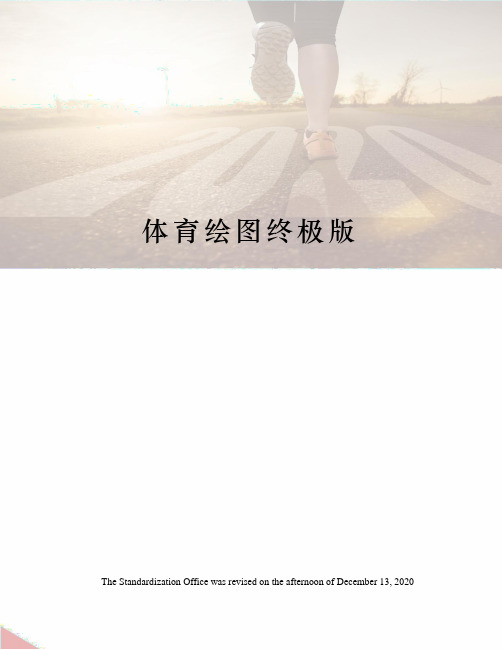 体育绘图终极版