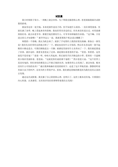 试胆量