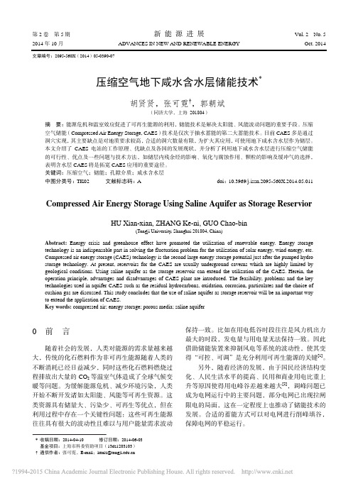 压缩空气地下咸水含水层储能技术_胡贤贤