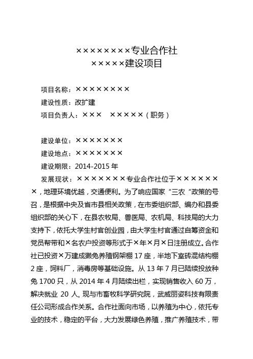 大学生村官创业项目计划书