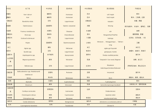木材中英文名对照