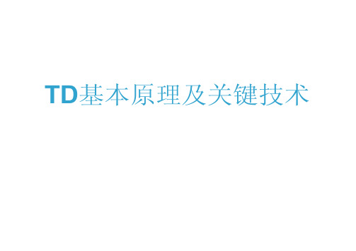 TD基本原理及关键技术-2010-04-15
