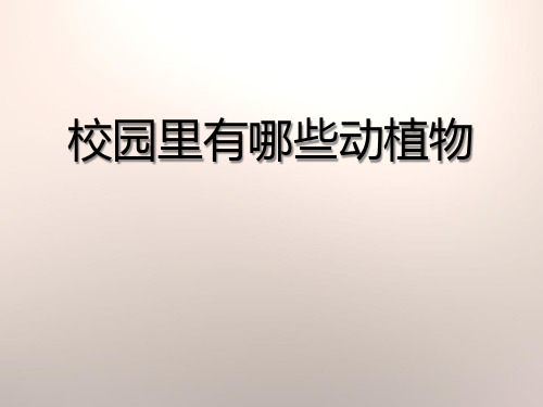 《校园里有哪些动植物》寻访校园里的动植物.PPT(新版本)