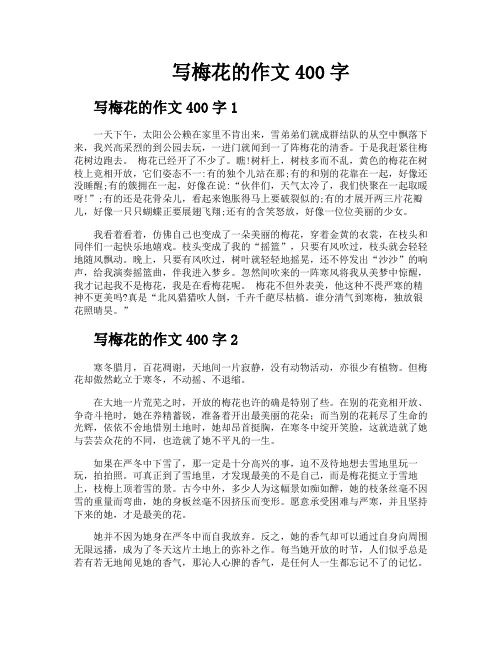 写梅花的作文400字