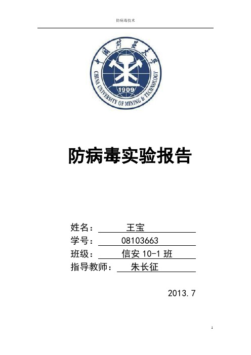 防病毒实验报告_王宝
