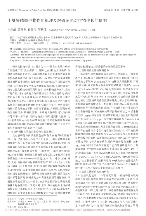 土壤解磷微生物作用机理及解磷菌肥对作物生长的影响