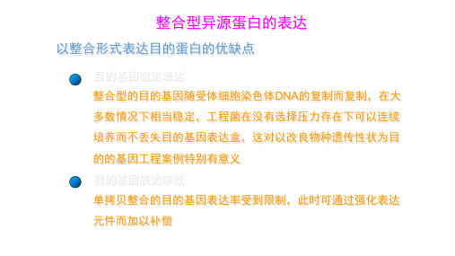 整合型异源蛋白的表达