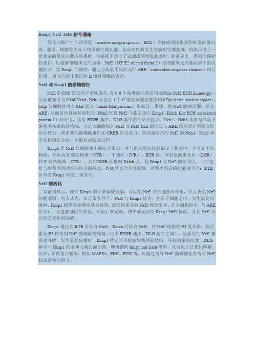Nrf2相关知识普及