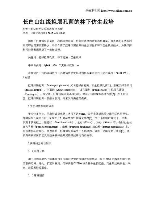 长白山红缘拟层孔菌的林下仿生栽培