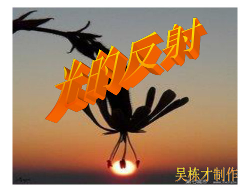 教科版五年级上册科学《光的反射》课件