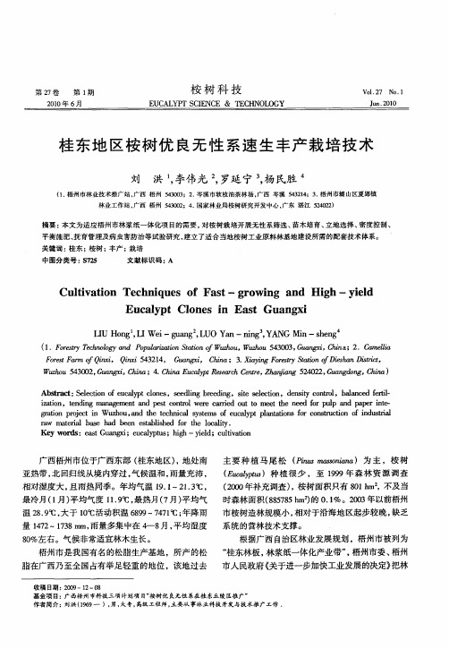 桂东地区桉树优良无性系速生丰产栽培技术