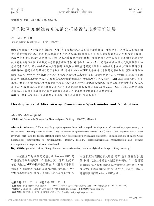 原位微区X射线荧光光谱分析装置与技术研究进展_许涛