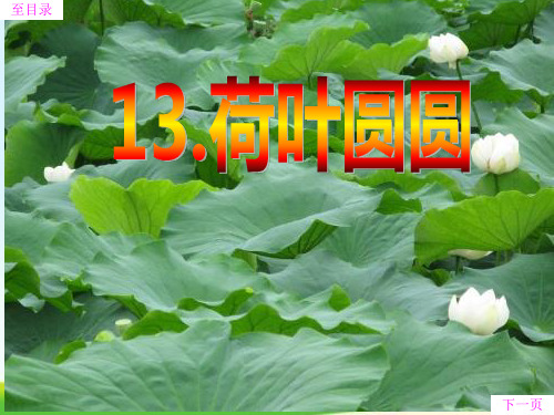 部编版人教版一年级语文下册荷叶圆圆第二课时公开课课件