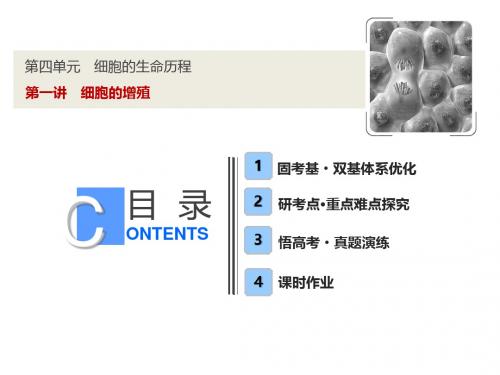 【苏教版】2019版高考一轮：4.1-细胞的增殖ppt精品课件(含答案)