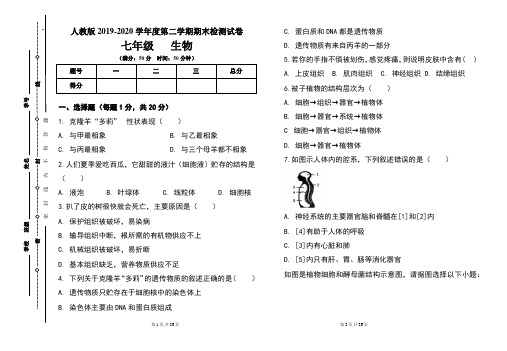 人教版七年级2019-2020学年度第二学期期末生物试题及答案(含两套题)