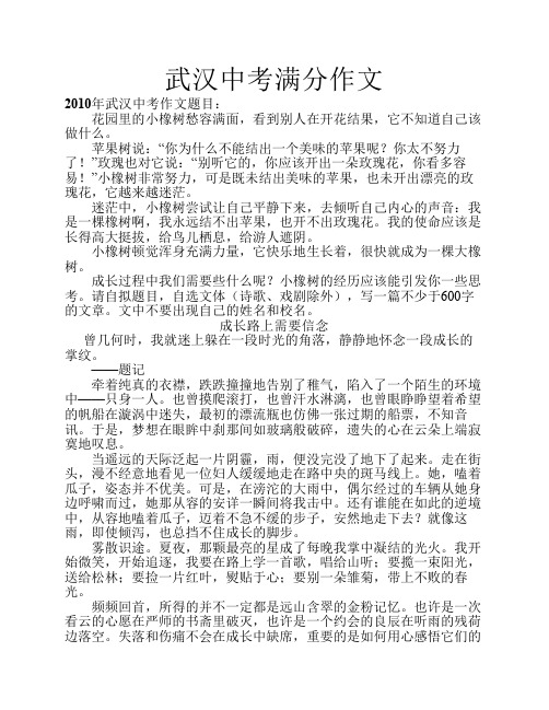 武汉2009-2011中考满分作文