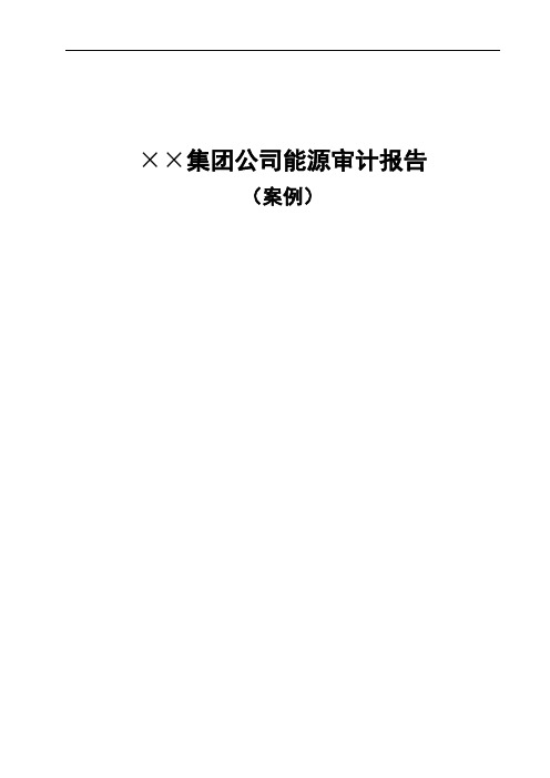 集团公司能源审计报告.doc