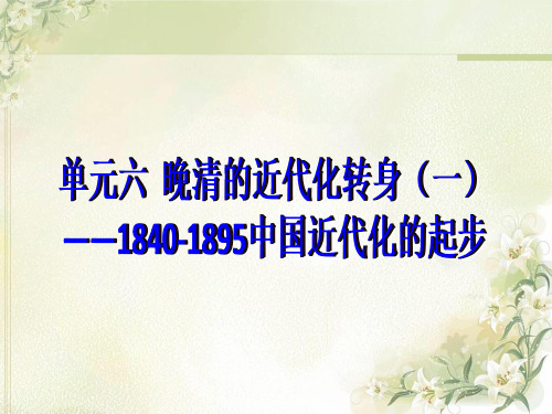 高三历史复习_晚清的近代化