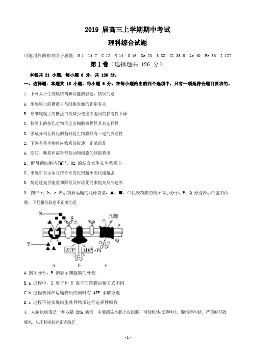 福建省泉州第五中学2019届高三上学期期中考试理科综合试卷(pdf版,含答案)