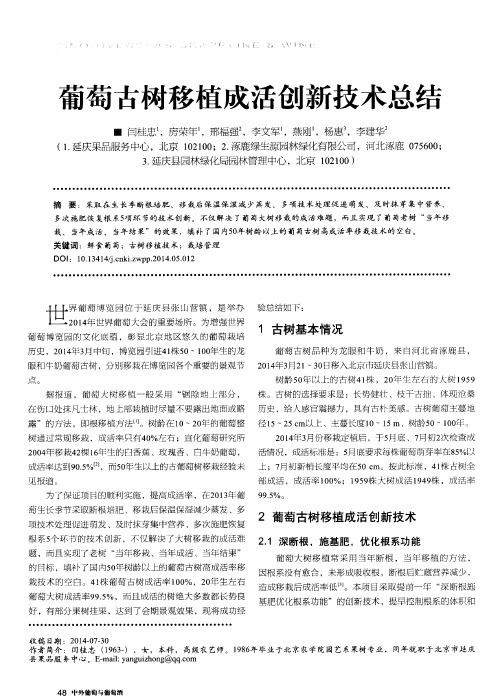 葡萄古树移植成活创新技术总结