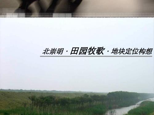 2019最新【精品】年启东崇明启隆乡田园牧歌地块定位构想(最终版)金丰易居普润 化学