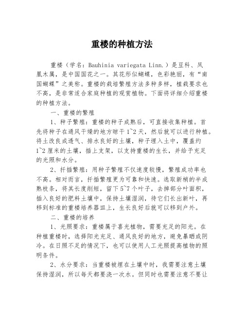 重楼的种植方法3篇