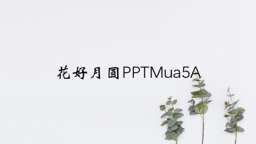 花好月圆PPTMua5A