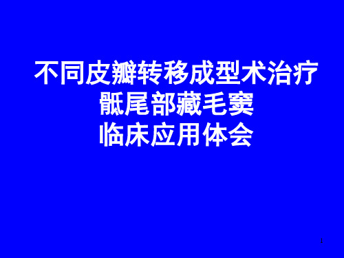 骶尾部藏毛窦PPT精选课件