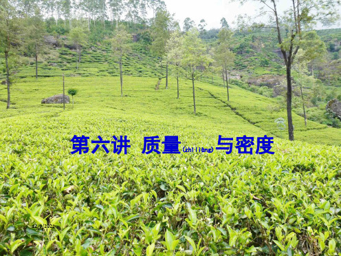 中考物理二轮复习 第六讲 质量与密课件