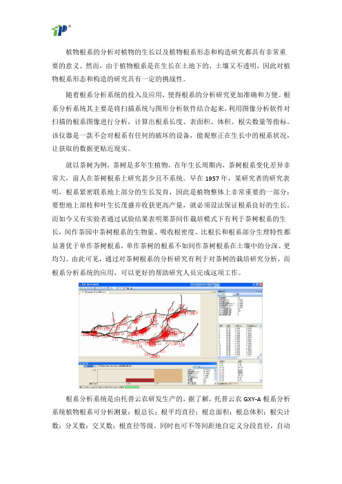 根系分析系统详细分析
