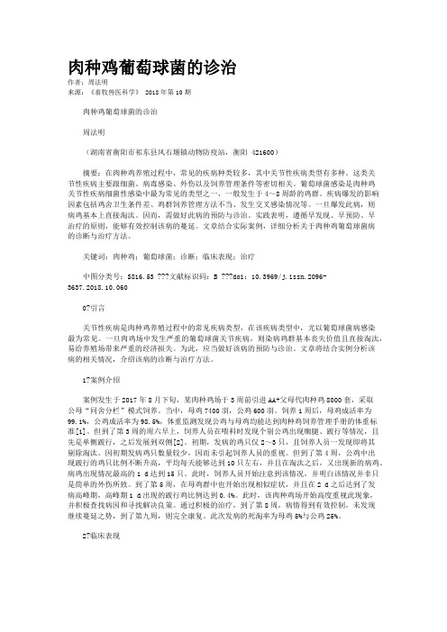 肉种鸡葡萄球菌的诊治