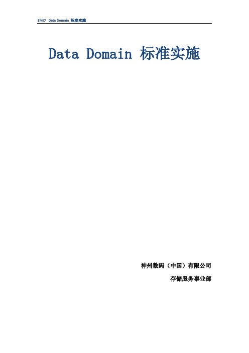 Data Domain标准实施