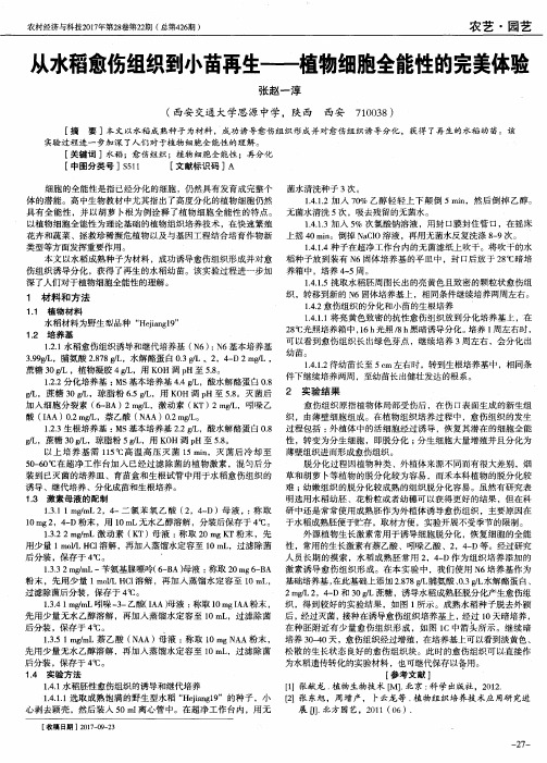 从水稻愈伤组织到小苗再生——植物细胞全能性的完美体验