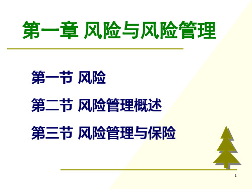 1--风险与风险管理.