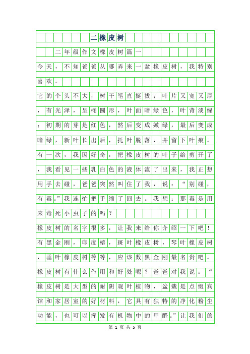 2019年二年级作文橡皮树