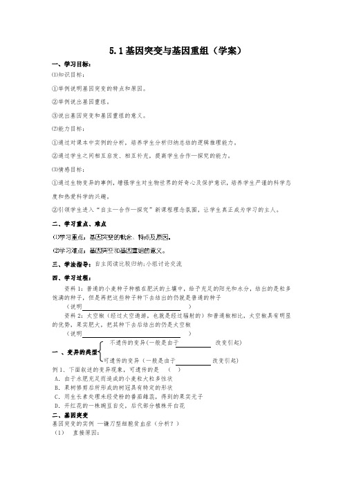 人教版高中生物必修二2基因突变和基因重组 学案 (1)