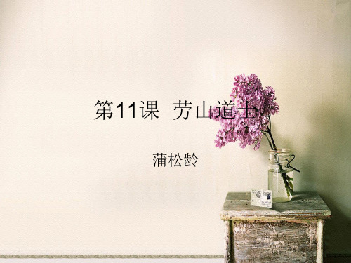 劳山道士PPT教学课件